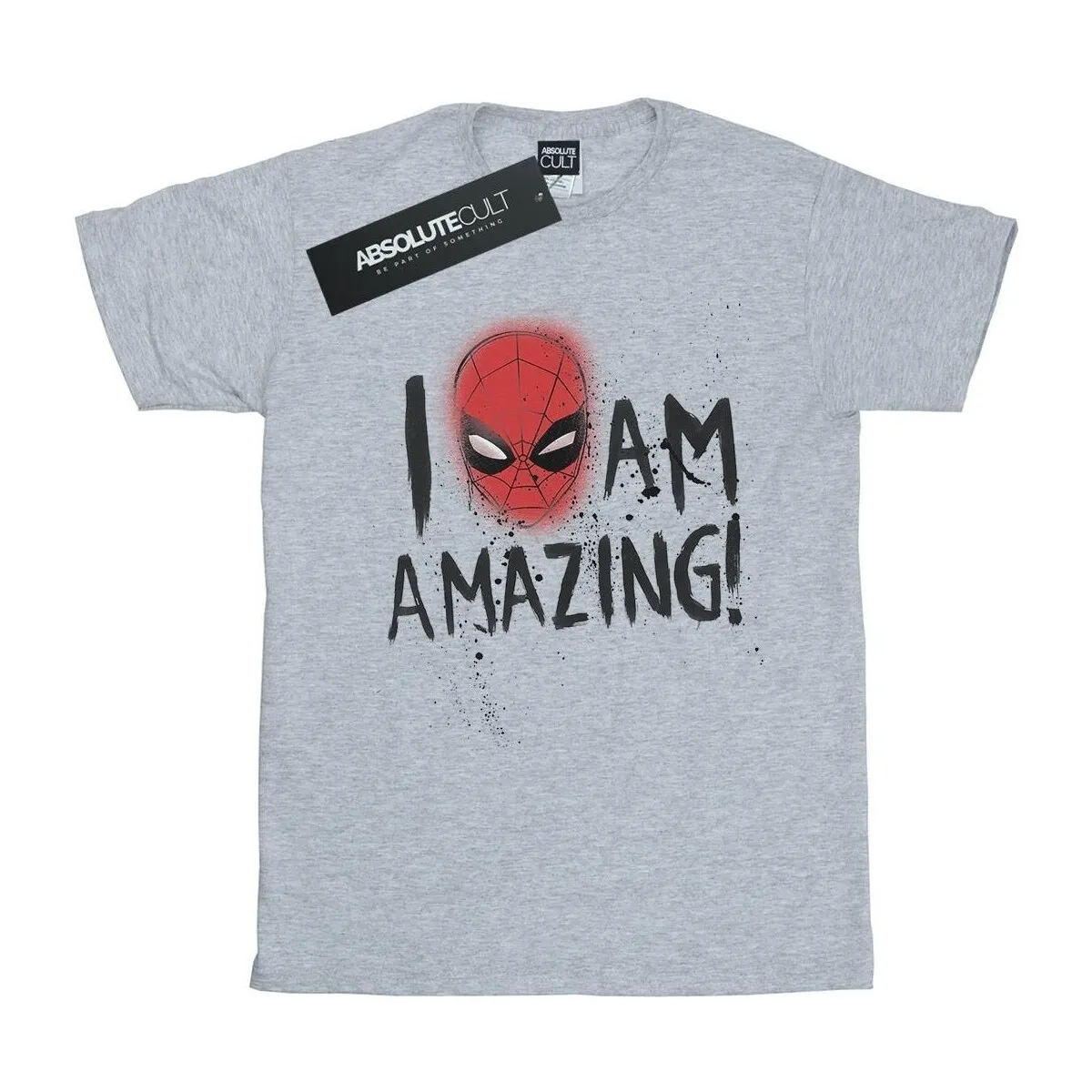 SPIDERMAN I AM AMAZING